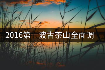 2016第一波古茶山全面調(diào)研第四站——臨滄·大雪山、小戶賽