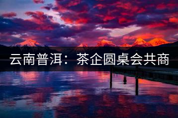 云南普洱：茶企圓桌會(huì)共商“現(xiàn)在·未來
