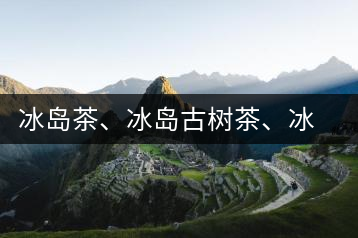 冰島茶、冰島古樹茶、冰島茶區(qū)茶、冰島茶區(qū)古樹茶