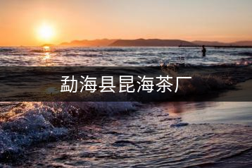 勐?？h昆海茶廠