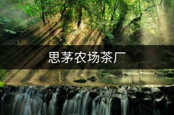思茅農場茶廠