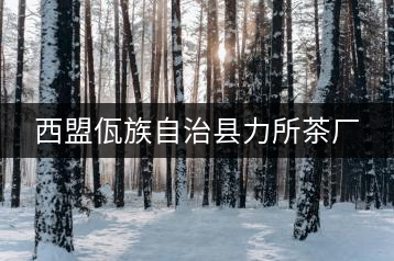 西盟佤族自治縣力所茶廠