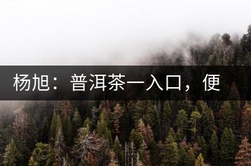 楊旭：普洱茶一入口，便知產(chǎn)地和年份