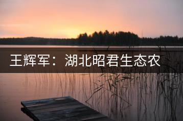 王輝軍：湖北昭君生態(tài)農(nóng)業(yè)有限公司董事長