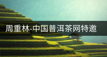 周重林-中國(guó)普洱茶網(wǎng)特邀行業(yè)專家顧問(wèn)