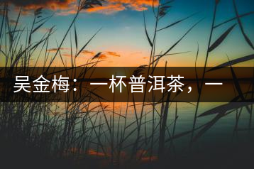 吳金梅：一杯普洱茶，一份云南情