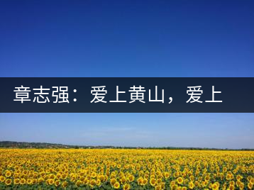 章志強(qiáng)：愛上黃山，愛上黃山的茶