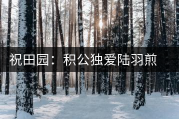 祝田園：積公獨(dú)愛陸羽煎的茶