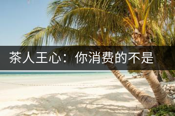茶人王心：你消費的不是茶，是我