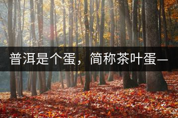普洱是個(gè)蛋，簡(jiǎn)稱(chēng)茶葉蛋——楊鎮(zhèn)瑜訪談錄