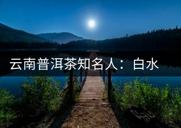 云南普洱茶知名人：白水清