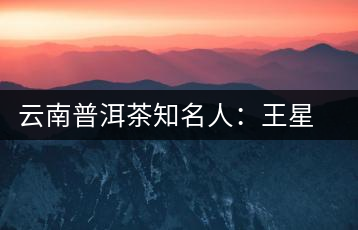 云南普洱茶知名人：王星銀