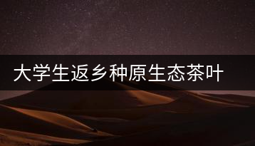 大學生返鄉(xiāng)種原生態(tài)茶葉 網(wǎng)上銷售獲好評