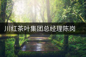 川紅茶葉集團總經(jīng)理陳崗的三分天下