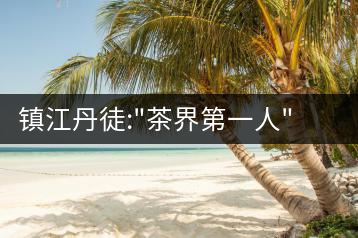 鎮(zhèn)江丹徒:”茶界第一人”成為計(jì)生領(lǐng)富幫富帶頭人