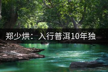 鄭少烘：入行普洱10年獨(dú)鐘“易武山頭”