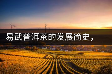 易武普洱茶的發(fā)展簡史，昔日的貢茶如今依然輝煌