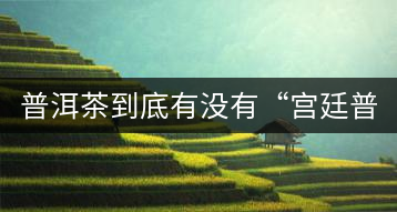 普洱茶到底有沒有“宮廷普洱”一說？它到底是什么？