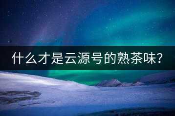 什么才是云源號的熟茶味？
