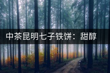 中茶昆明七子鐵餅：甜醇甘潤，陳韻綿長