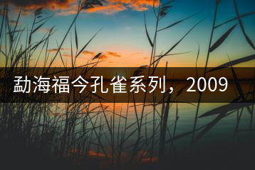 勐海福今孔雀系列，2009年尊享青餅