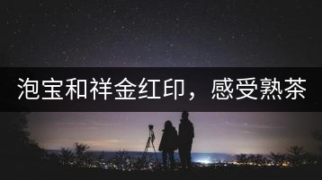 泡寶和祥金紅印，感受熟茶之美。