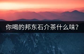 你喝的邦東石介茶什么味？