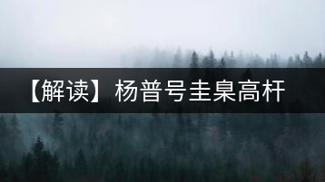 【解讀】楊普號(hào)圭臬高桿茶：形高、氣足、韻遠(yuǎn)的一款茶