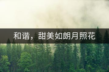 和諧，甜美如朗月照花