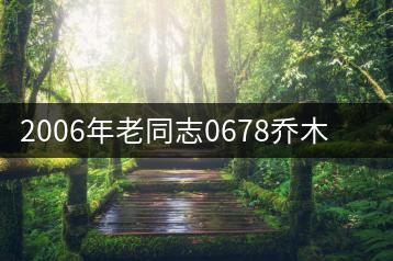 2006年老同志0678喬木熟茶開湯品鑒