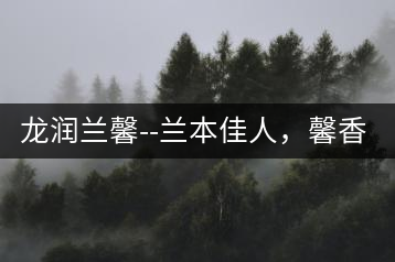 龍潤蘭馨–蘭本佳人，馨香高雅