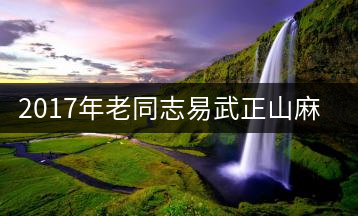 2017年老同志易武正山麻黑古樹(shù)茶上市