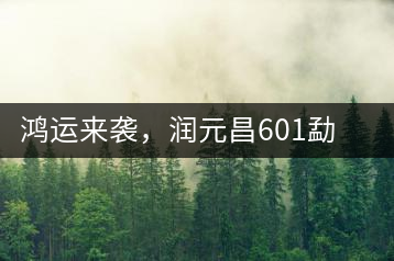鴻運(yùn)來(lái)襲，潤(rùn)元昌601勐海紅韻熟茶即將上市