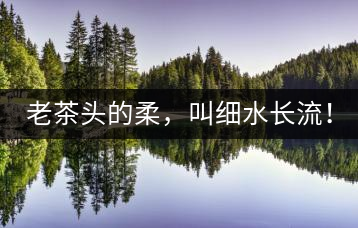 老茶頭的柔，叫細(xì)水長流！