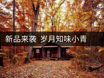 新品來襲  歲月知味小青柑（貳號(hào)）喜迎國慶