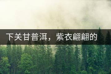 下關(guān)甘普洱，紫衣翩翩的綺麗小餅