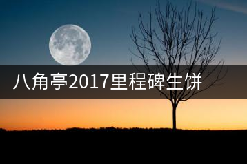 八角亭2017里程碑生餅，擁抱半個世紀(jì)的情懷