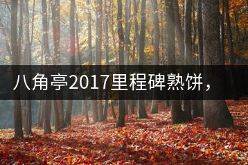 八角亭2017里程碑熟餅，自先發(fā)酵而后愛人