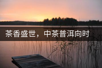 茶香盛世，中茶普洱向時(shí)代獻(xiàn)禮