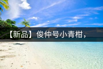 【新品】俊仲號小青柑，青果來傾城