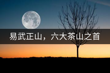 易武正山，六大茶山之首