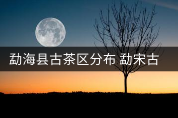 勐?？h古茶區(qū)分布 勐宋古茶山