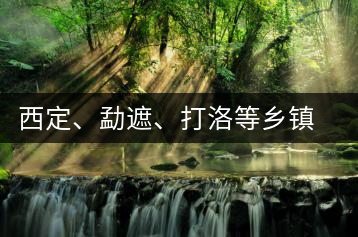 西定、勐遮、打洛等鄉(xiāng)鎮(zhèn)古茶樹資源