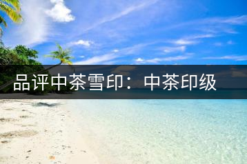 品評(píng)中茶雪?。褐胁栌〖?jí)茶的經(jīng)典傳承