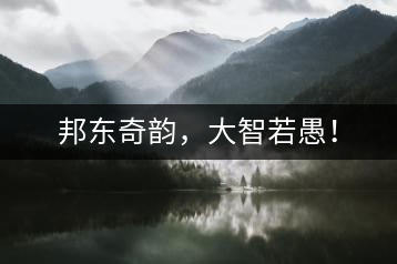 邦東奇韻，大智若愚！