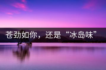 蒼勁如你，還是“冰島味”嗎？