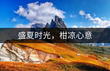 盛夏時(shí)光，柑涼心意