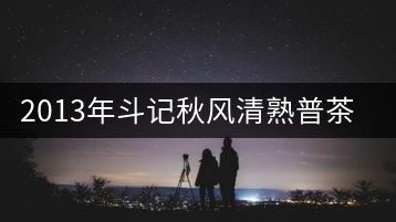 2013年斗記秋風(fēng)清熟普茶評