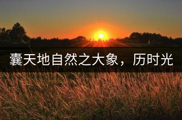 囊天地自然之大象，歷時(shí)光十載流轉(zhuǎn)-皇茶一號(hào)