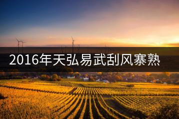 2016年天弘易武刮風寨熟茶一泡耐人尋味！